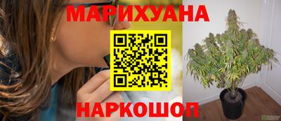 индика Ирбит