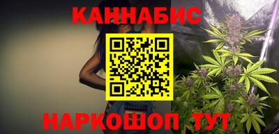 индика Ирбит
