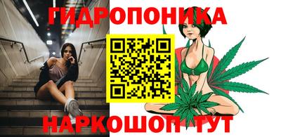 индика Ирбит