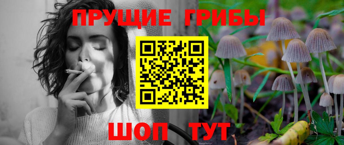 Галлюциногенные грибы Psilocybine cubensis  Псилоцибиновые грибы Cubensis  Ивантеевка  Вход с VPN 